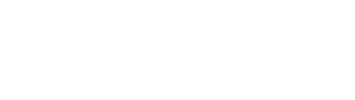 Niswey-Logo-white
